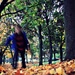 Autumn Blur by rich57