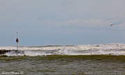 25th Oct 2012 - Waves