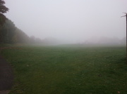 24th Oct 2012 - even more fog