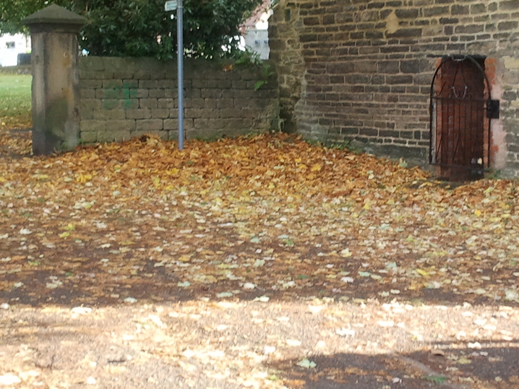 leaves falling by clairecrossley