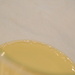 Lemonade in Glass 10.28.12 by sfeldphotos