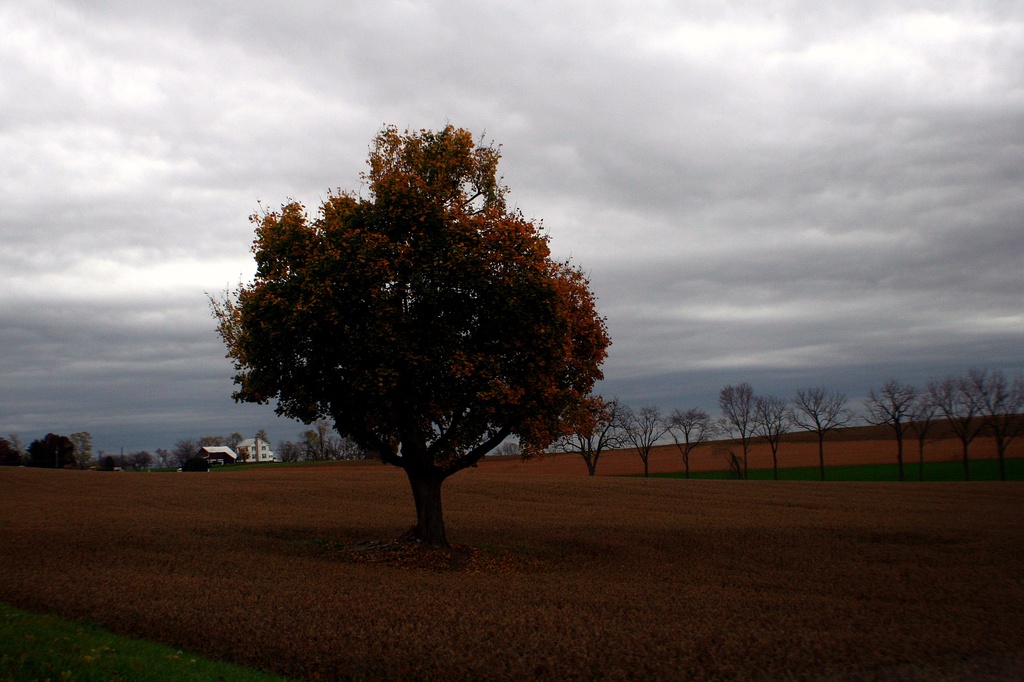 Autumn In Farm Country by digitalrn