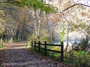 23rd Oct 2012 - Great Allegheny Passage