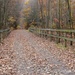 More GAP Trail by lynne5477