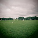 cricket starts again by spanner