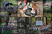 28th Oct 2012 - gnomesville collage