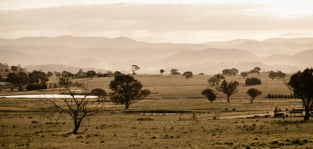 wide brown land by ltodd