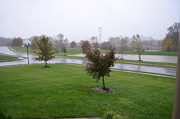 29th Oct 2012 - Rain has started
