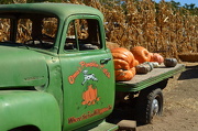 27th Oct 2012 - Oma's Pumpkin Patch