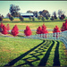 Red Trees All in a Row by cindymc