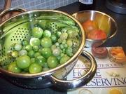29th Oct 2012 - Last of the tomatoes
