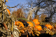 29th Oct 2012 - Harvest blessings