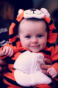 28th Oct 2012 - Cutest Little Tiger
