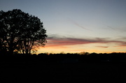 21st Oct 2012 - Sunset