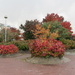 Autumn colours in Helsinki by annelis