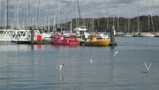 30th Oct 2012 - the pink ferry and the yellow water taxi 