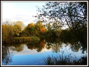 30th Oct 2012 - Priory Country Park 