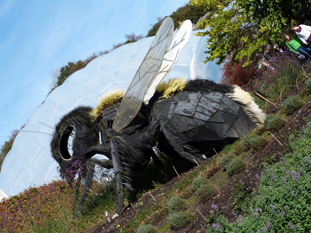 Buzzy day at the Eden Project by calx