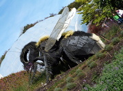 30th Oct 2012 - Buzzy day at the Eden Project