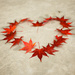 I HEART Fall!! by kwind