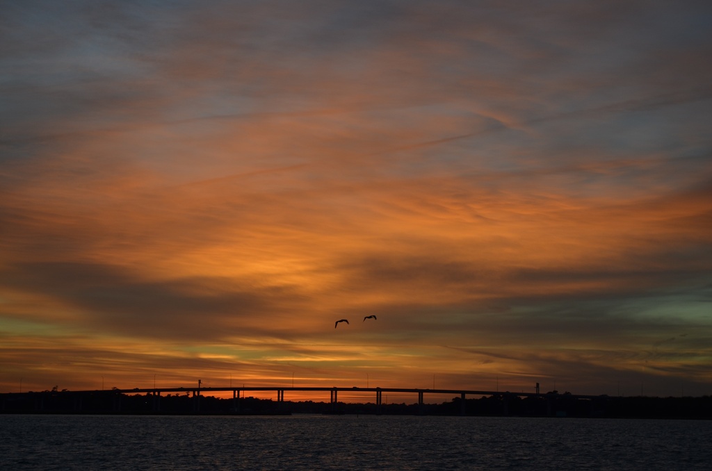 Sunset over the south end of The Battery, Charleston, S.C. by congaree