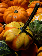 31st Oct 2012 - Plentiful Harvest