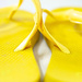Yellow flip flops by kwind