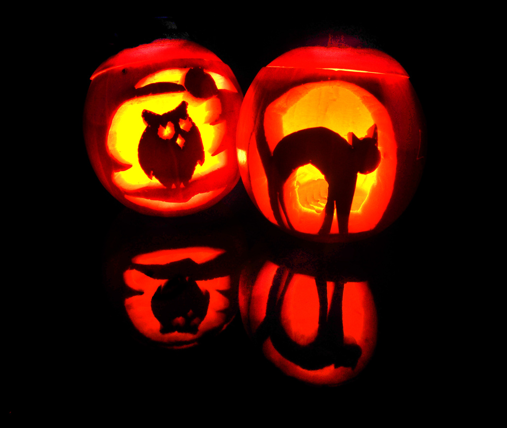 Halloween Pumpkins ~ The Owl and the Pussycat!! by seanoneill