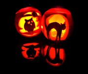 31st Oct 2012 - Halloween Pumpkins ~ The Owl and the Pussycat!!