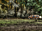 1st Nov 2012 - Oregon Van