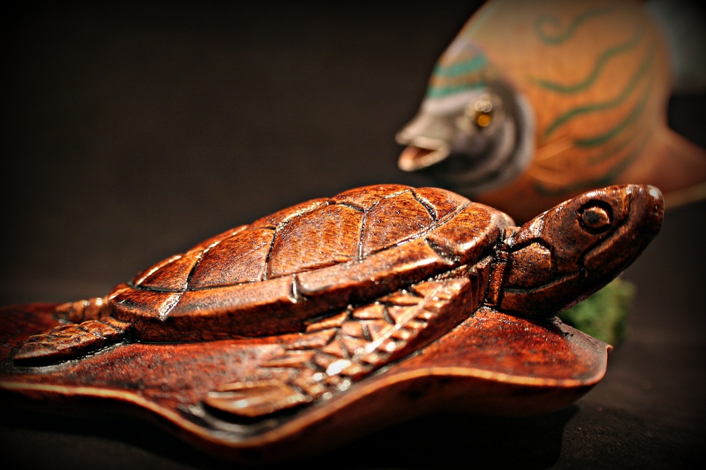 Turtle & DOF by digitalrn