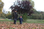 30th Oct 2012 - Autumn leaves in Victoria Park