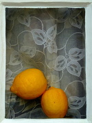 22nd May 2012 - Lemons