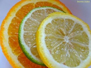 1st Nov 2012 - Citrus fresh!