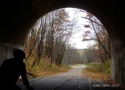 2nd Nov 2012 - Light at the end of the Tunnel
