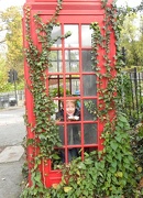 31st Oct 2012 - Neglected phone box has found a friend