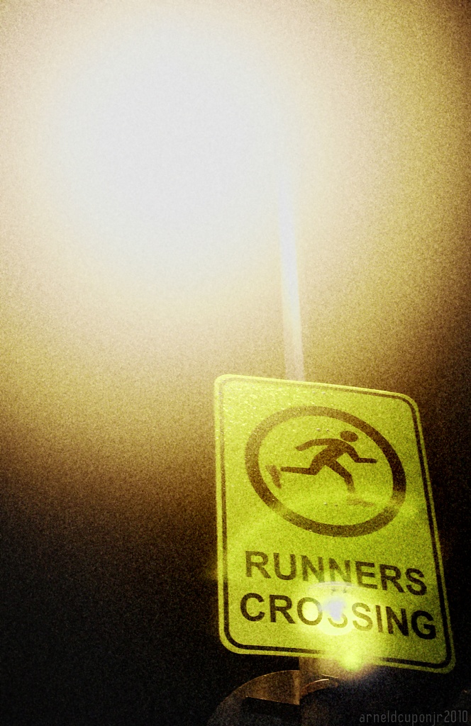Day 32 - Runners Crossing by nellycious