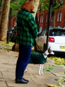 1st Nov 2012 - Doggie coat