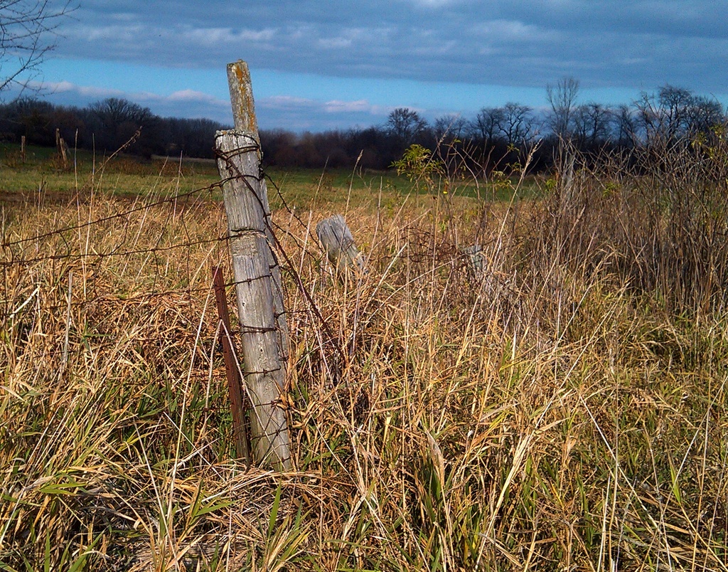 Lonely Fence Post by mrsbubbles