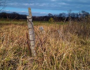 1st Nov 2012 - Lonely Fence Post