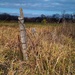 Lonely Fence Post by mrsbubbles