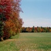 autumn - film shot by summerfield