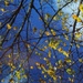 Autumn reflections by edorreandresen