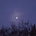 November Moon by lizzybean