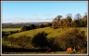 2nd Nov 2012 - View from Ampthill Hill
