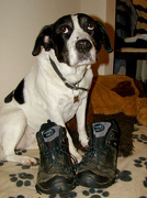 2nd Nov 2012 - Nov 02: 'Boots'