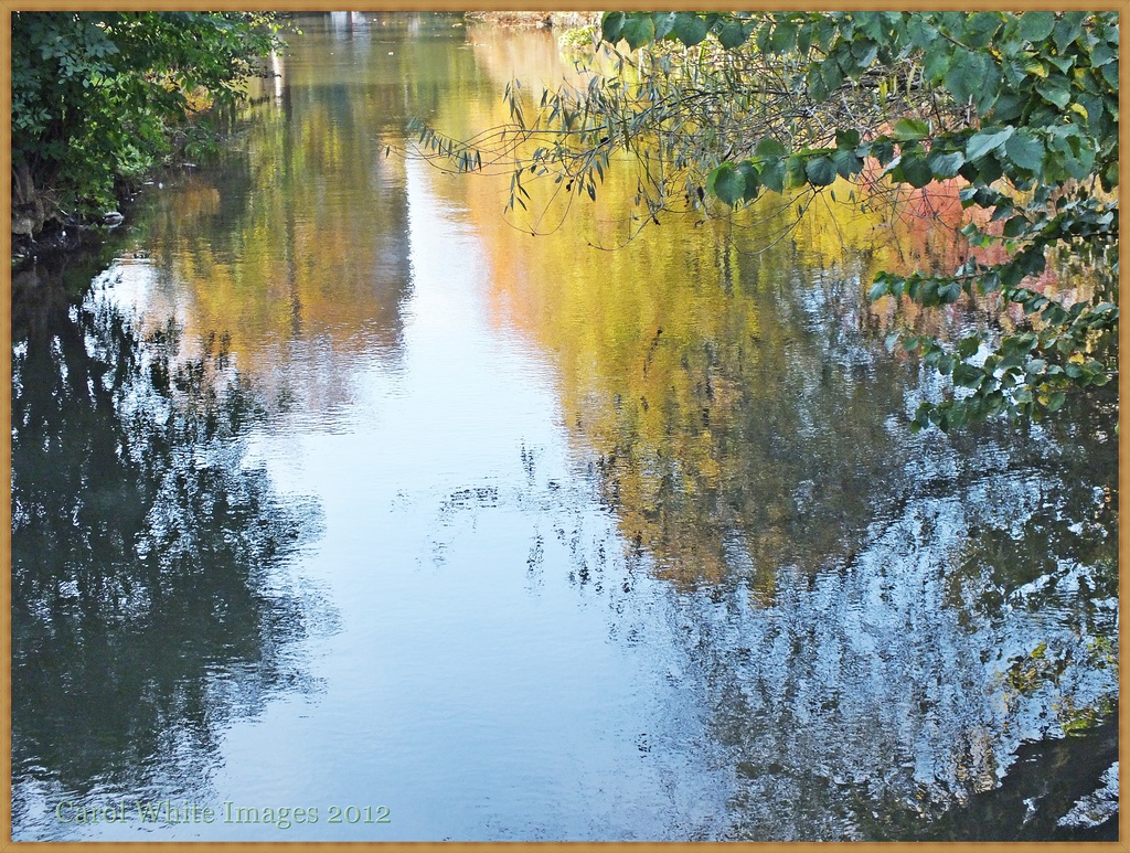 Colours Of Autumn-Reflections by carolmw