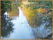 3rd Nov 2012 - Colours Of Autumn-Reflections