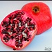 Pomegranate  by tonygig