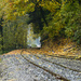 Tracks Towards Home by jgpittenger